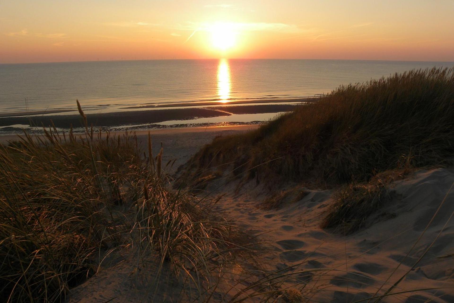 Apartmán Ammophila 1 Egmond aan Zee Exteriér fotografie